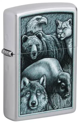 Diseño «Animal Kingdom»