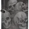 Diseño «Coleccionista de calaveras» Diseño «Coleccionista de calaveras»