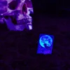Diseño «Cuervo a la luz de la luna» Diseño «Cuervo a la luz de la luna»