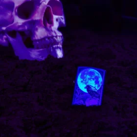 Diseño «Cuervo a la luz de la luna»