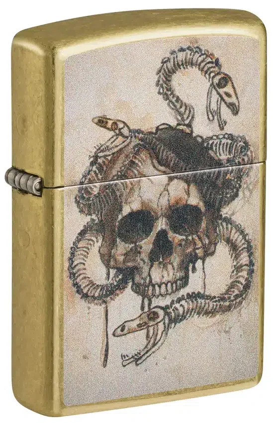 Diseño de calavera y huesos de serpiente Diseño de calavera y huesos de serpiente