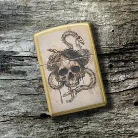 Diseño de calavera y huesos de serpiente