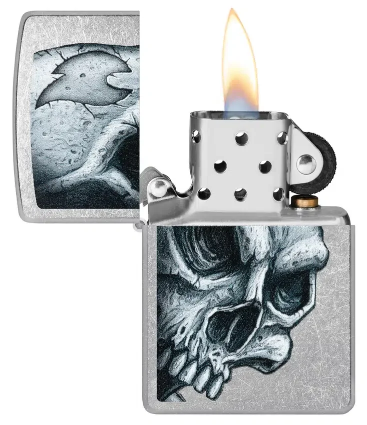 Diseño de calavera y llama Diseño de calavera y llama