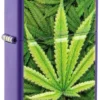 Diseño de cannabis Diseño de cannabis