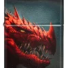 Diseño de dragón Diseño de dragón