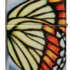 Diseño de mariposas Diseño de mariposas