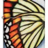 Diseño de mariposas Diseño de mariposas