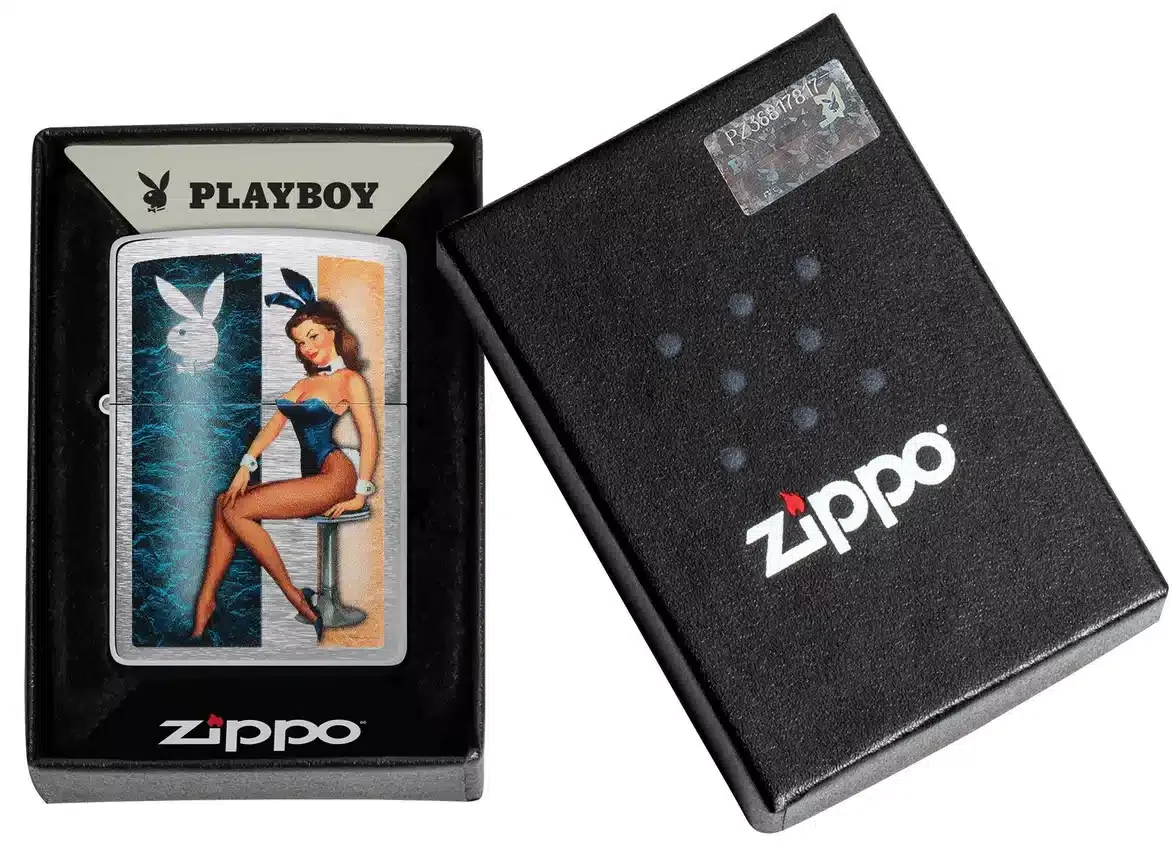 Diseño de pin-up de Playboy Diseño de pin-up de Playboy