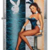 Diseño de pin-up de Playboy Diseño de pin-up de Playboy