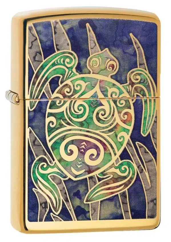 Diseño de tortuga Diseño de tortuga