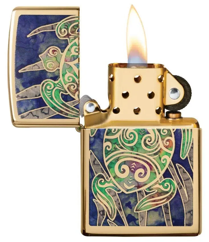 Diseño de tortuga Diseño de tortuga