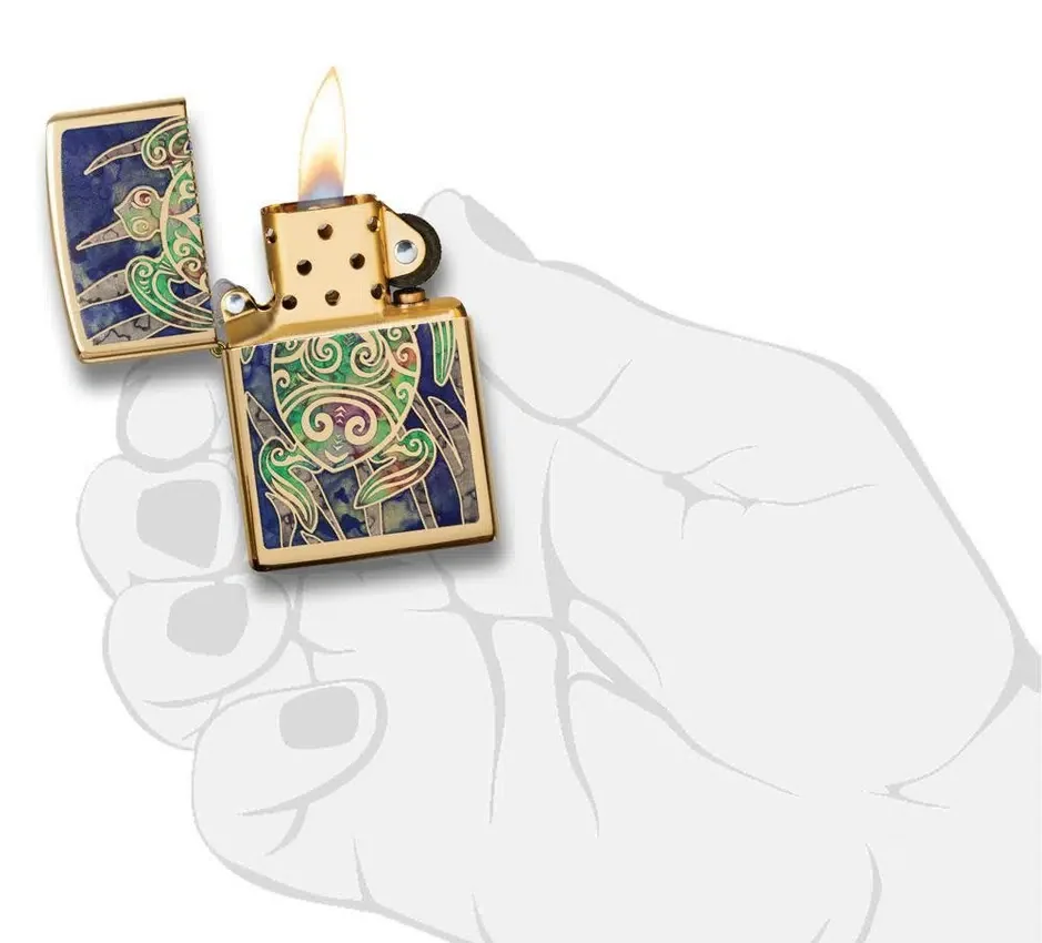 Diseño de tortuga Diseño de tortuga