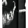 Diseño «Devil Dance» Diseño «Devil Dance»