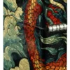Diseño «Dragon Fusion» Diseño «Dragon Fusion»