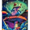 Diseño «Zen Frog» Diseño «Zen Frog»