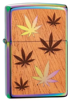 Emblema multicolor de hojas de Woodchuck USA