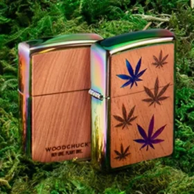 Emblema multicolor de hojas de Woodchuck USA